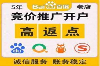 电商平台的关键词竞价排名：销售增长的秘诀